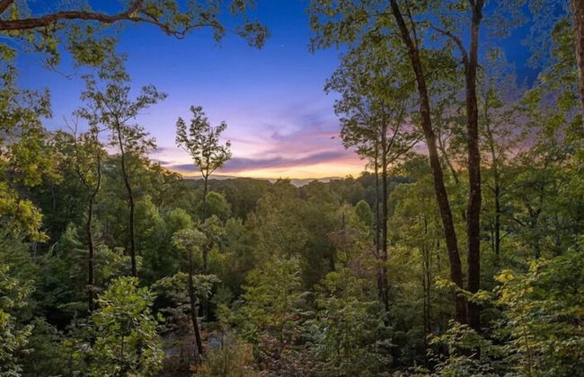 Zen Mountain - Photo 50