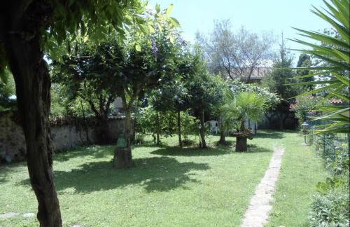 The garden of history - Foto 18