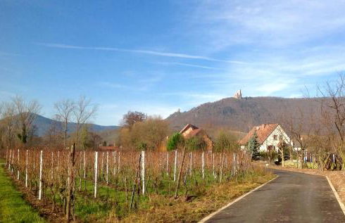 Gite Au sauna de l’Aubach - Foto 32