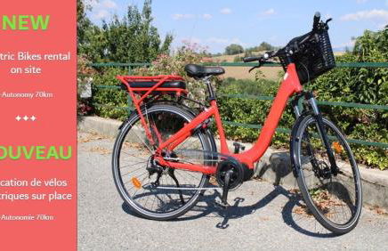 Gites de charme à Milly-La-Forêt - Foto 24