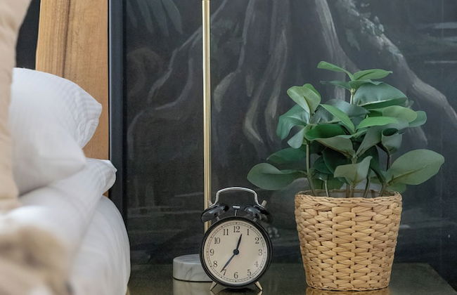 Cosy Apartment With Garden by Renters - Foto 4