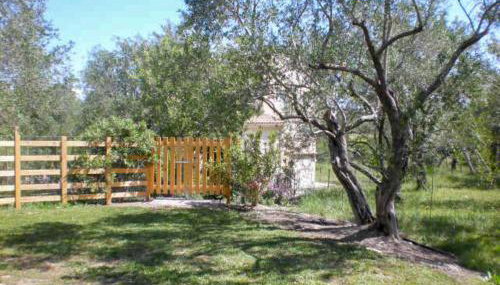 Aroggia Farm - Foto 5, Garden