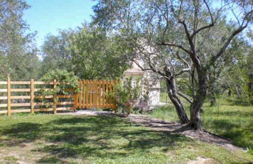 Aroggia Farm - Foto 5