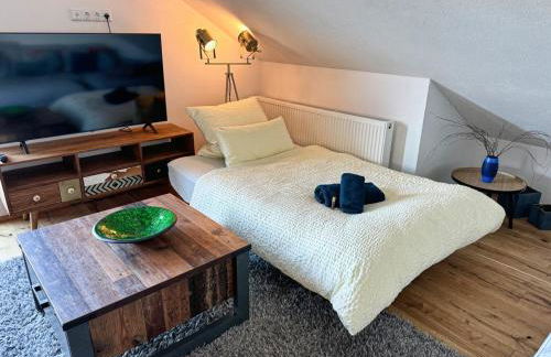 Penthouse mit Aussicht über den Wald - Foto 29