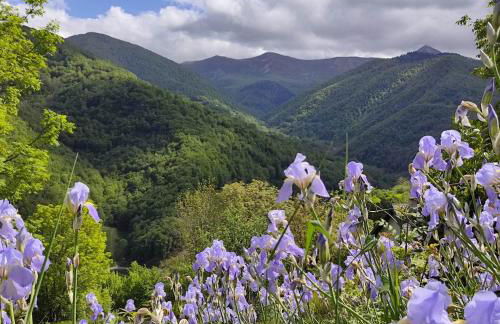 La Grange de l'Ours - Foto 36