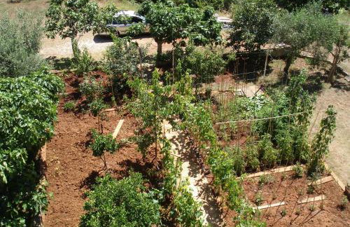 Brko Apartment - Foto 13