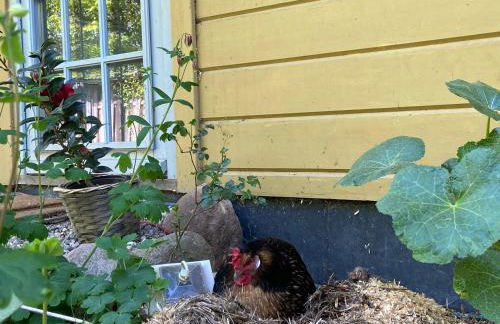 Seeblockhaus - Foto 16