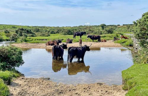 Finest Retreats - Stable Barn Apartment at Bodmin Moor - Foto 14