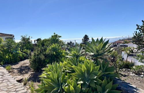 El Estanco Viejo Casa Poleo - Foto 20