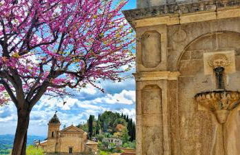 Agriturismo Caprareccia Bianca - Foto 33