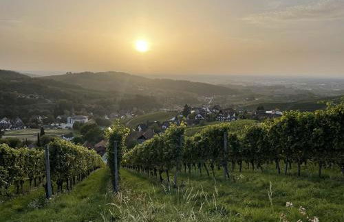 Ferienwohnung Wanderschön - Foto 37