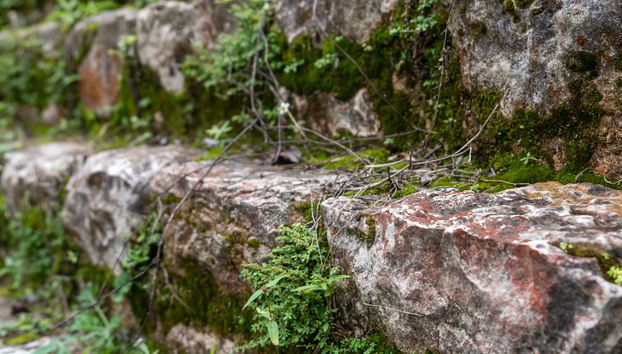 Excursión de 2 días a las Cascadas Las Golondrinas y Bonampak + Rafting