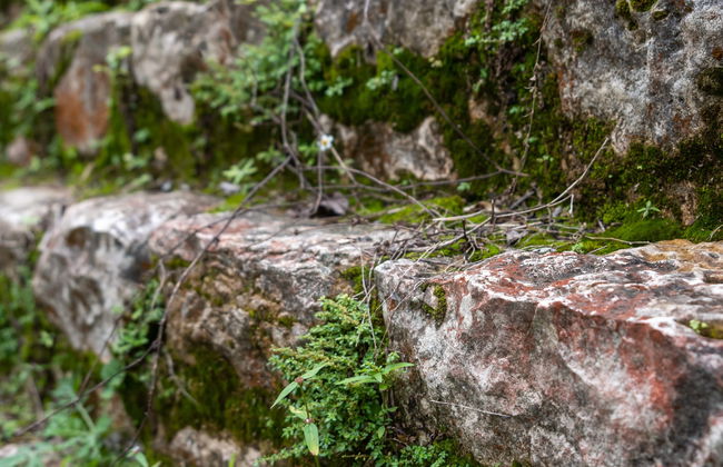 Excursión de 2 días a las Cascadas Las Golondrinas y Bonampak + Rafting - Foto 4