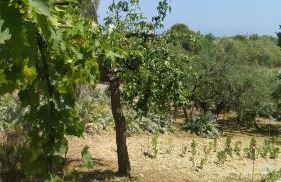 Relax al mare - Foto 16