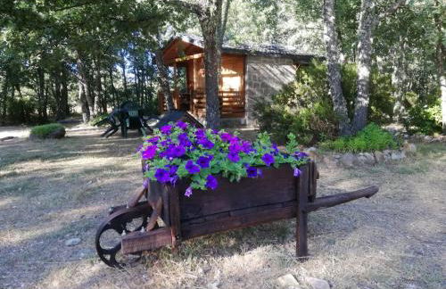 Cabañas Vallecino - Foto 8