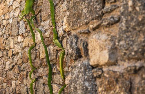 DreamLike Villas Mykonos - Foto 152