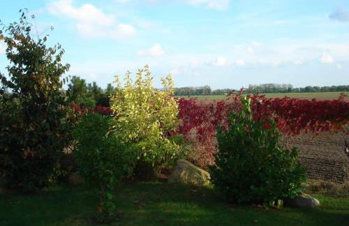 Ferienwohnung Lüssow - Foto 26