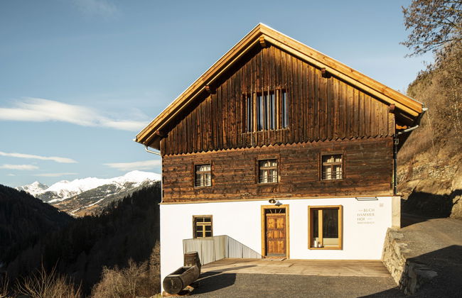 David am Buchhammerhof - Foto 44