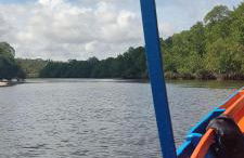 Bella Casa Ipê 1º andar APA Barra de Mamanguape - Photo 35