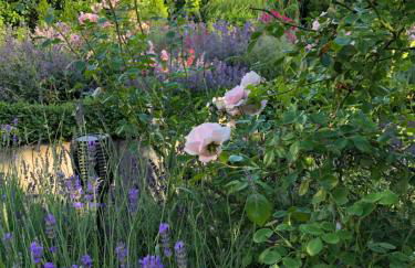 Ferienwohnung in Werder Havel Innenstadt - Photo 21