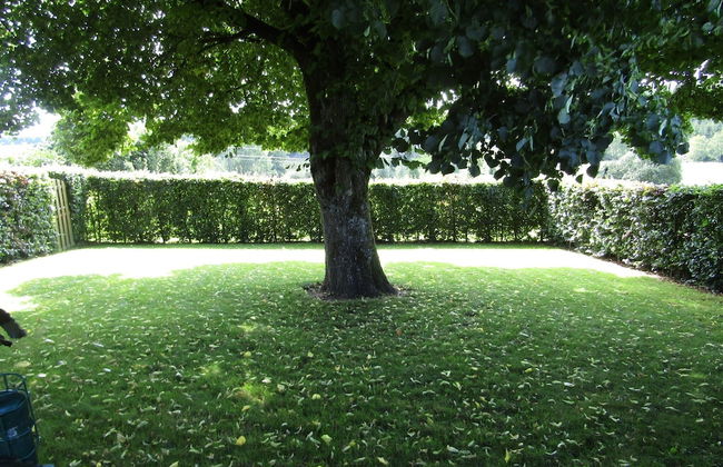 Lovely Spot With Plenty of Outdoor Space - Foto 43