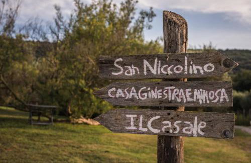 Podere San Niccola - Foto 12