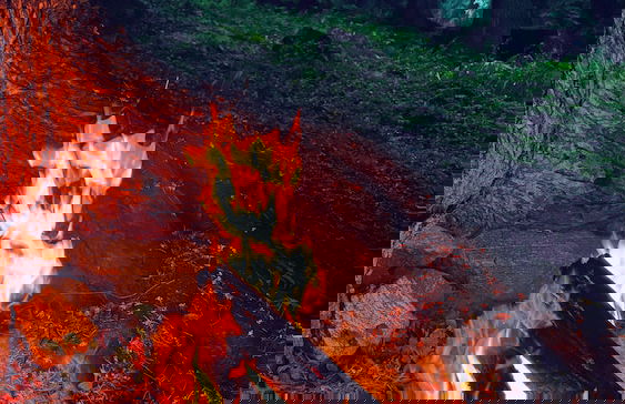 Cove The Glass House - Foto 42