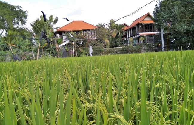 Umah Watu Villas - Foto 33