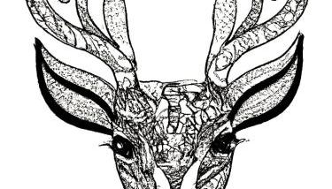 Gemütliches Alpenblick BERG-Bungalow + großer GARTEN + NETFLIX! - Foto 2