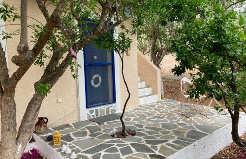 Granatapfel - Foto 16