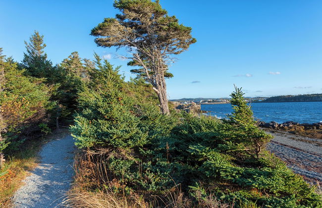 The Killick Inn & Suites - Foto 51