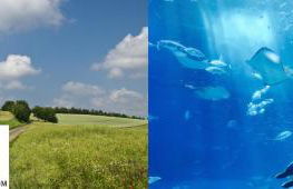 STUDIO-COSY - Foto 37