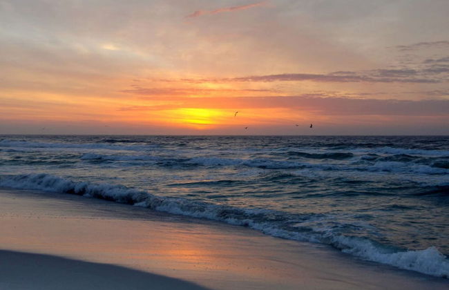 Seychelles by iTrip Panama City Beach - Foto 107