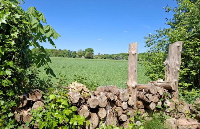Holiday Home with Meadow View near Forests - Foto 38