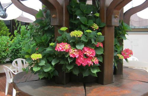 Hotel Residence Margherita - Foto 35