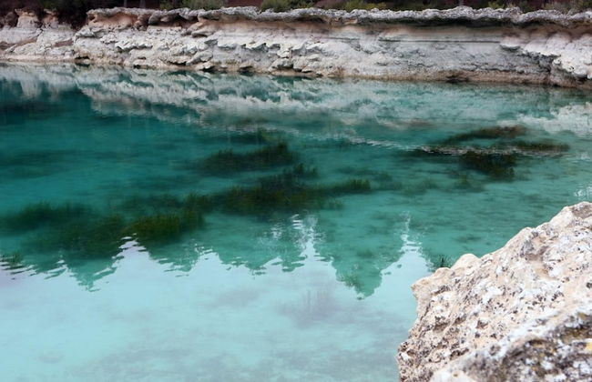 Finca Luz de Alba - Photo 31