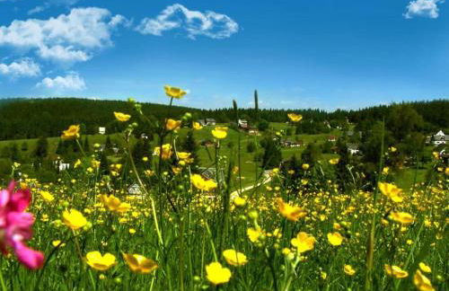 Ferienhaus mit Schwimmbad in Jagersgrun - Foto 65