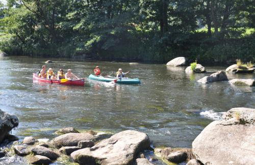 Ferienwohnung Regentalblick - Photo 30