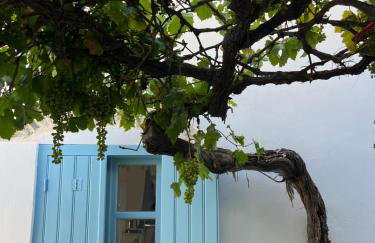 Dream House Little Villa - Amorgos - Photo 24