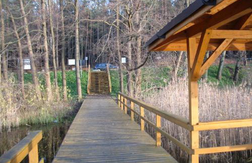 W Pelniku - Photo 59