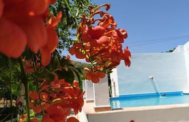 Quinta da Ponte das Hortas 3 - Foto 8