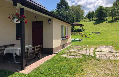 Agroturystyka-Wisłocka - Foto 39