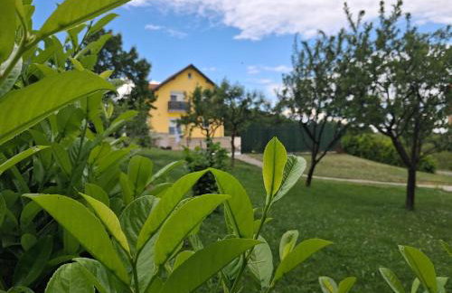 Familyway Croatia Kids Friendly Family villa with privat Pool 50 m2 Slavonski Brod - Foto 31