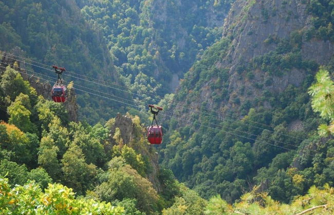 Historic Haven in Quedlinburg - Foto 33