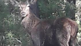 Apartamentos Sevilla - Foto 4