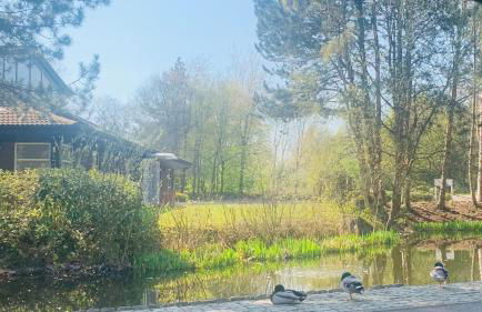 Happy Day 温馨小居-Walk to Warwick Uni & Cannon Park in Coventry that offers free parking - Foto 55