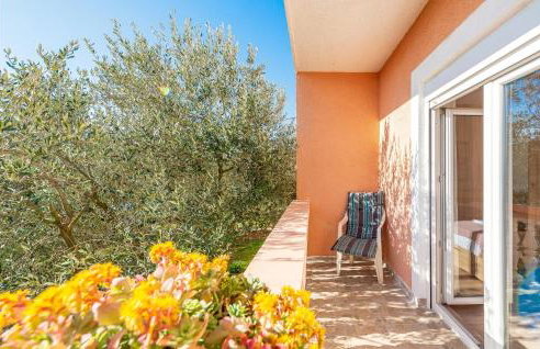 Apartman Bore - Foto 8