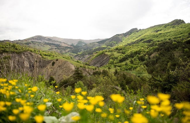 Village Vacances Le Richelme - Foto 8