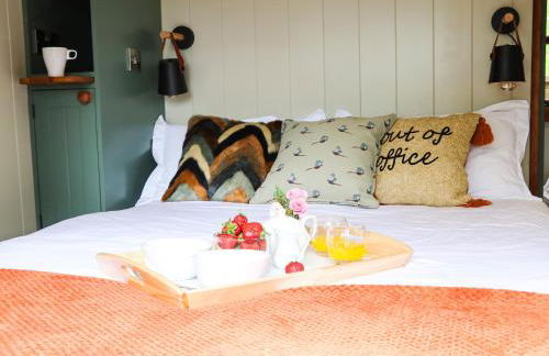 Little Silver Pheasant - Foto 16