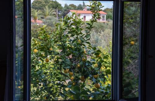 Beachfront house Thalassography - Foto 19